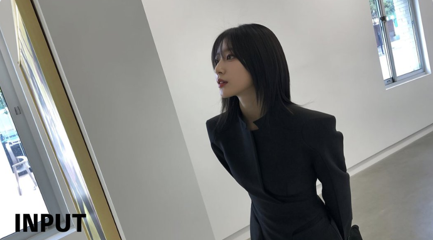 POSE MODIFICATION transformation - original input image showing the starting point